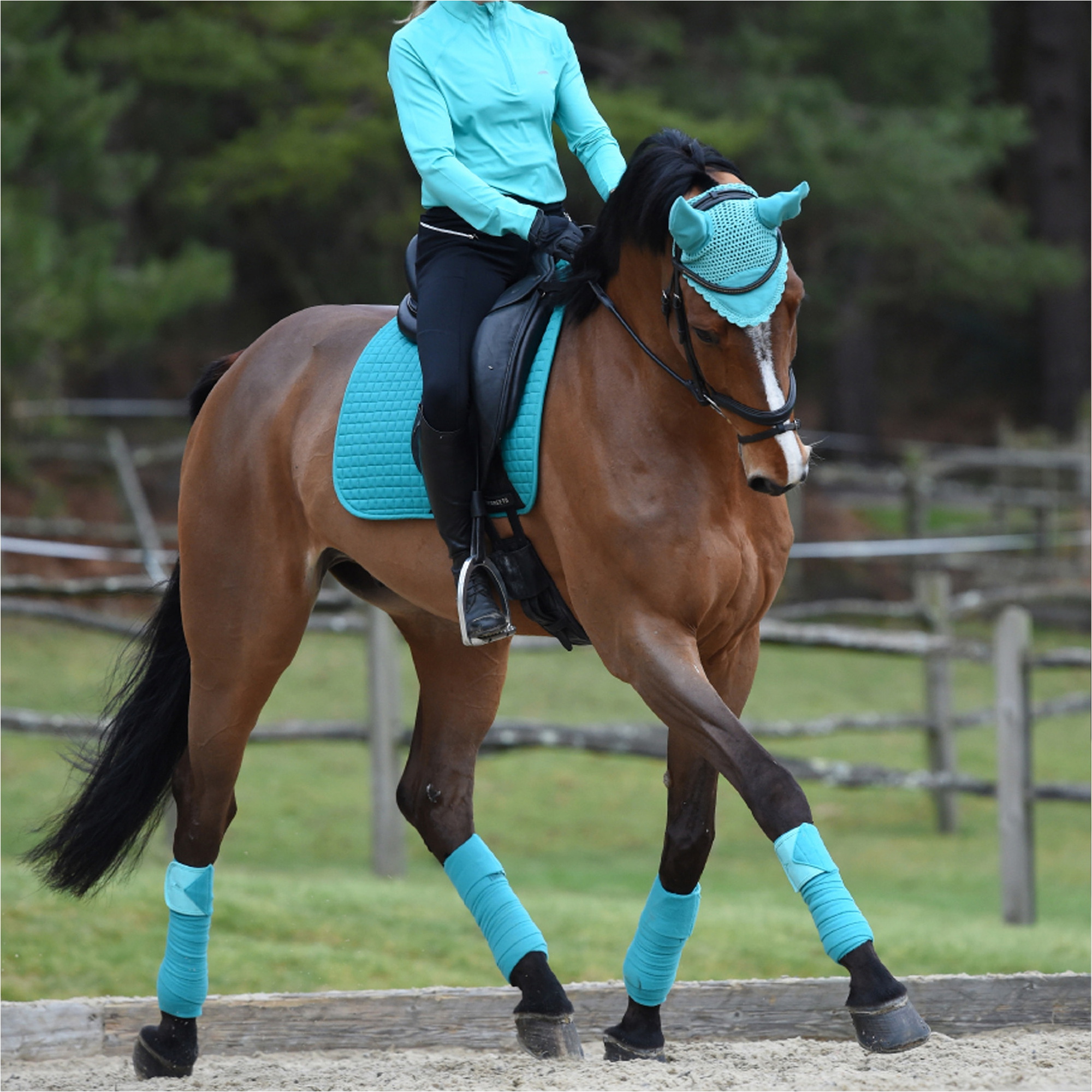 Weatherbeeta Prime Dressursattelauflage 1000745 - Türkis
